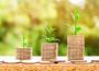 Procure-to-pay : Quels enjeux pour l'entreprises ?